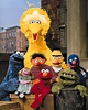 Sesame Street - Muppet Wiki - Wikia