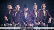 LOS TIGRES DEL NORTE - JEFE DE JEFES [Audio HD] - YouTube