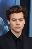 How Harry Styles’s Iconic Hair Has Evolved Over the Years | Honk Magazine