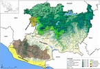 Mapa de Michoacan | Map, Digital marketing, World