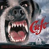 Cujo [LP] - VINYL | Lp vinyl, Scary movies, Kings movie