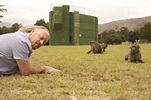 Baboons with Bill Bailey : Programs : Animal Planet : Discovery Press Web