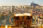 25 Best Things to Do in Prague (Czech Republic) - The Crazy Tourist (2023)