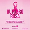 "Outubro Rosa": a campanha que tem dado muito certo! - FM NEWS