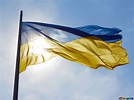 ウクライナ国旗 無料の写真 № 51271