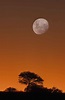 Kgalagadi Transfrontier Park, South Africa | African sunset, Beautiful ...