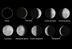 Fases de la Luna: cuáles son y cómo identificarlas - Resumen