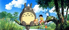Mi vecino Totoro Fondo de pantalla ID:5053