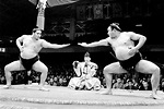 Los 16 Luchadores de Sumo Más Famosos de Japón ⛩️