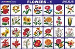 Spectrum Chart - 105 : Flowers