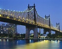 queensborough lights | Tower bridge, I love ny, Brooklyn bridge