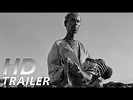 DAS SALZ DER ERDE | Trailer [HD] - YouTube