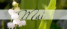 Mai, der Monat der Fruchtbarkeit und der Liebe | Practical Magic Magazin