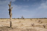 Desertification in Africa: 10 things you must know