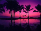 43 HD Purple Wallpaper/Background Images To Download For Free