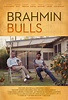 Brahmin Bulls - Seriebox