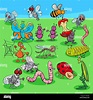 Ilustración caricatura divertida de insectos y bichos Animal grupo de ...