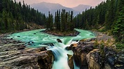 Stream, Nature, Wilderness, National Park Of Canada, - Jasper National ...