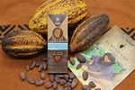 Cacao de asociación asháninka, en Junín, conquista el paladar ruso ...