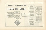 LAMINA ESPASA 1640: Arbol genealogico de la Casa de York by Varios ...