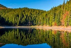 有湖的针叶林在山高清摄影大图-千库网