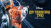 Ein tierisches Trio - Wieder unterwegs | Disney+