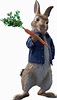 Download Peter Rabbit - Peter Rabbit Movie Png - Full Size PNG Image ...