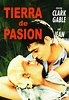 TIERRA DE PASIÓN, amores de alto voltaje con Jean Harlow y Clark Gable