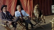 Won Ton Ton: The Dog Who Saved Hollywood (1976) | MUBI