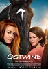 Film Ostwind 4 - Aris Ankunft - Cineman