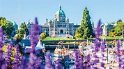 14 of the coolest things to do Victoria, B.C. | Escapism TO