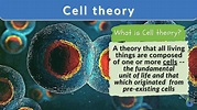 Cell theory - Definition and Examples - Biology Online Dictionary