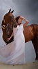 Pin by gulya on Photography | Horse girl photography, Horse photography ...
