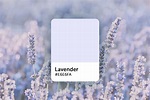 Lavender Color Explained: Color Codes, Similar Shades, and Symbolism ...