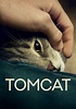 Tomcat - película: Ver online completas en español