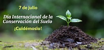 7 de julio: Dia Internacional de la Conservacion del Suelo