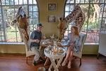 Giraffe Manor in Kenya - Is It Worth the Money? - Anna Everywhere ...