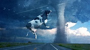 How They Made a Cow Fly Through a Tornado in ‘Twister’ - The Ringer