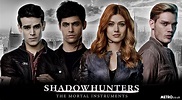 The shadowhunters - LUDS ASBL