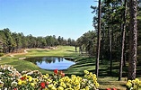 With Nine Courses, Arkansas’ Hot Springs Village Has Golf Covered ...