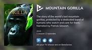 Where to watch Mountain Gorilla TV series streaming online ...