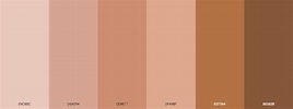 Most Common Human Skin Tone Colors » Blog » SchemeColor.com