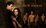 The Wolf Pack Pictures - The Twilight Saga: Wolves Photo (26678950 ...