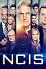 NCIS Season 11 DVD Release Date | Redbox, Netflix, iTunes, Amazon