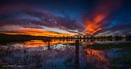 Bushels Lagoon Sunrise Freeman's Reach Sydney, Australia