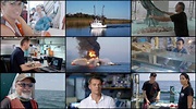 Screenscope Releases 50 Short Videos to Accompany Dispatches from the ...