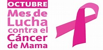 Octubre Rosa: Mes de lucha contra el cáncer de mama | Rosario