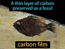 Carbon Film Definition & Image | GameSmartz