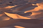 Mexiko Wüste von Altar (© Mexikanisches Fremdenverkehrsbüro) - LINEA ...