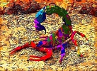 Colorful Scorpion Painting | Artwork